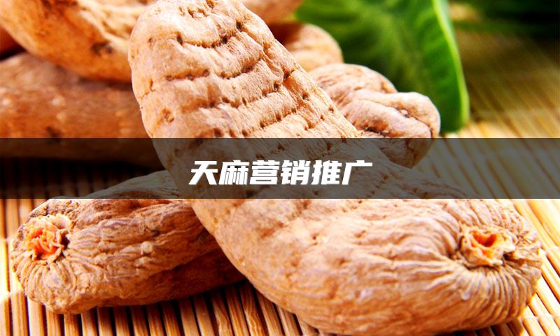 天麻营销推广