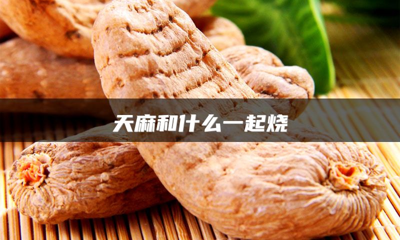 天麻和什么一起烧