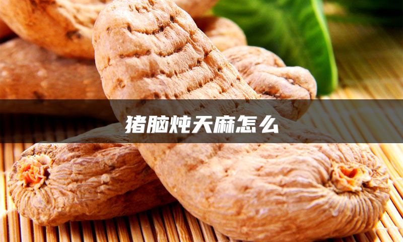 猪脑炖天麻怎么