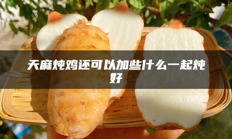 天麻炖鸡还可以加些什么一起炖好