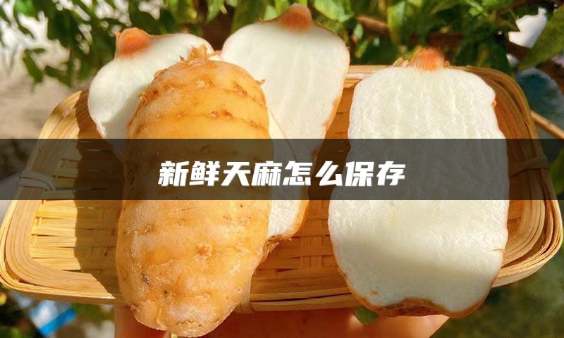 新鲜天麻怎么保存