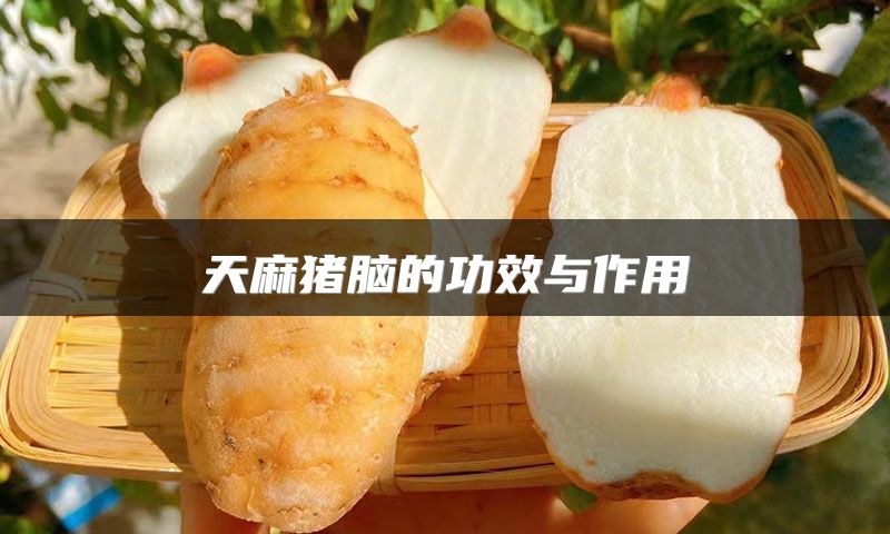 天麻猪脑的功效与作用