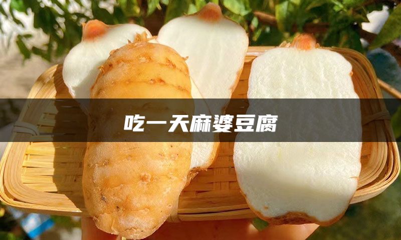 吃一天麻婆豆腐