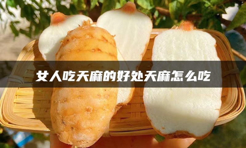 女人吃天麻的好处天麻怎么吃