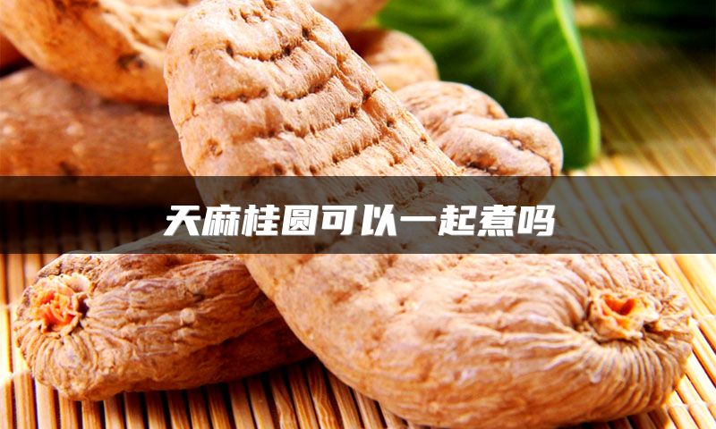 天麻桂圆可以一起煮吗