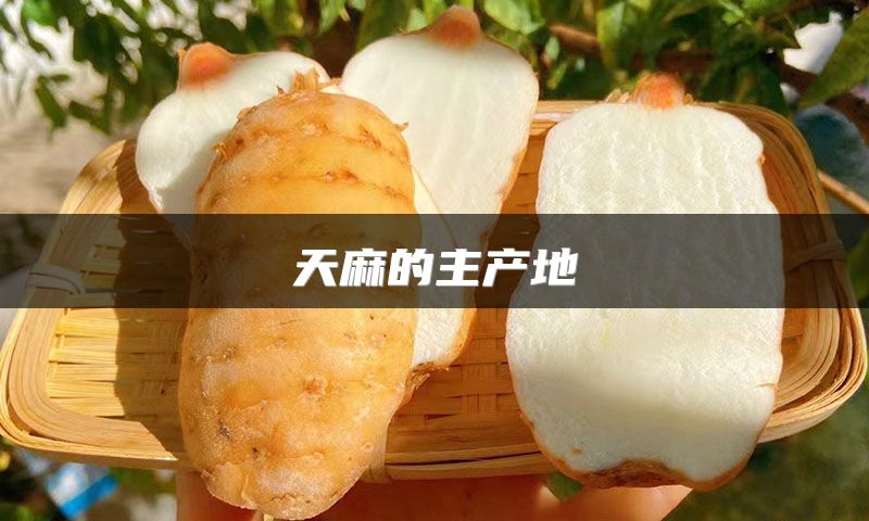天麻的主产地