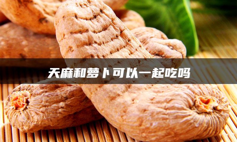 天麻和萝卜可以一起吃吗