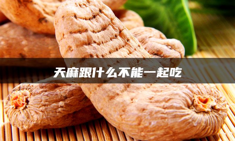 天麻跟什么不能一起吃