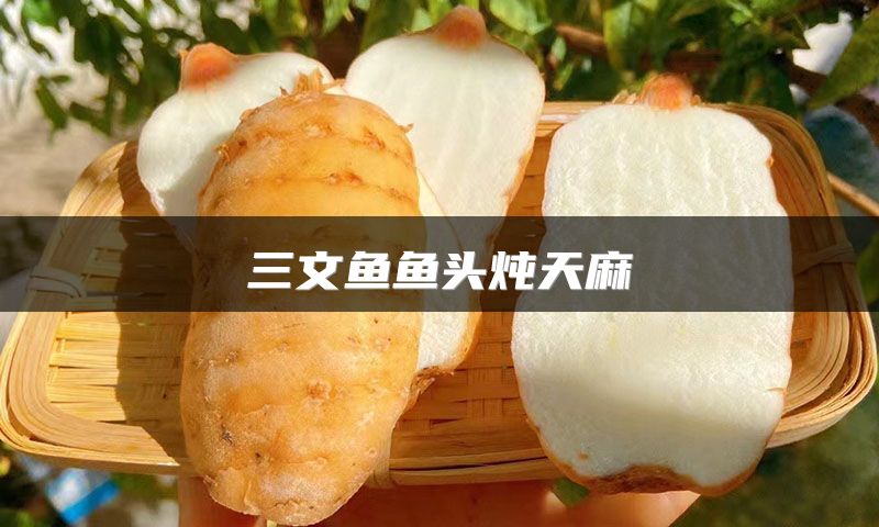 三文鱼鱼头炖天麻