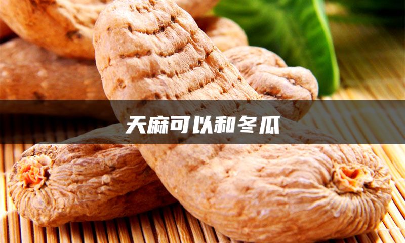 天麻可以和冬瓜