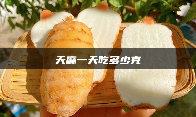 天麻一天吃多少克