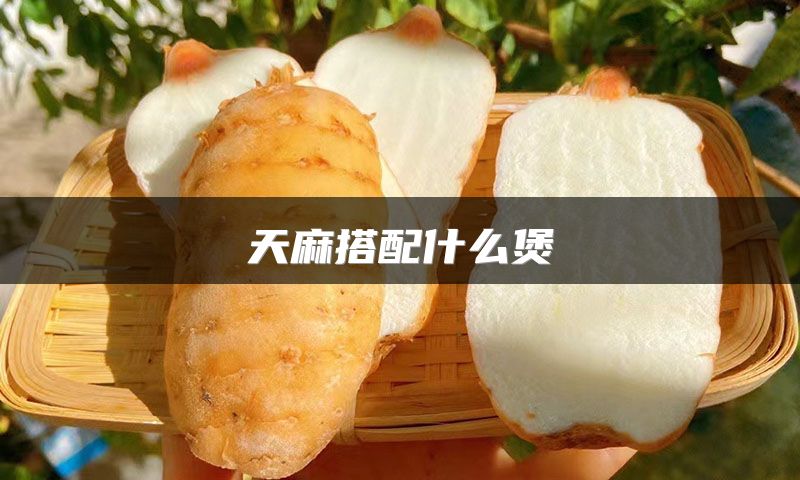 天麻搭配什么煲