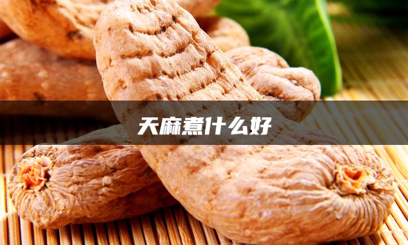 天麻煮什么好