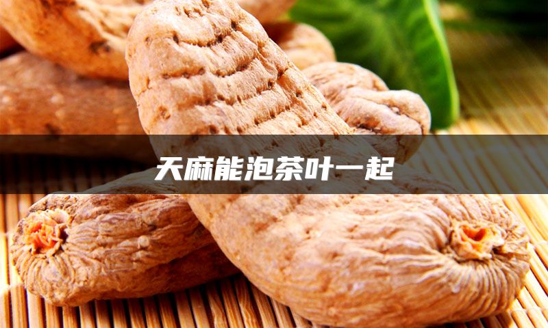 天麻能泡茶叶一起