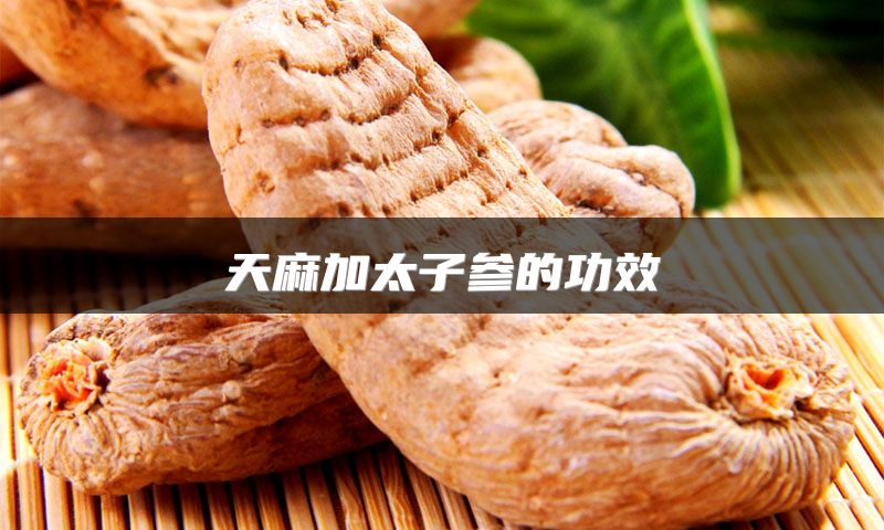 天麻加太子参的功效