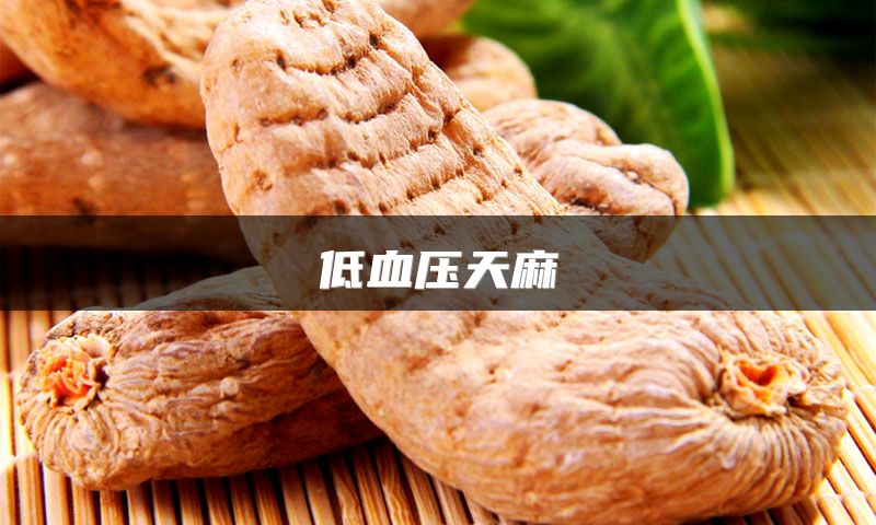 低血压天麻